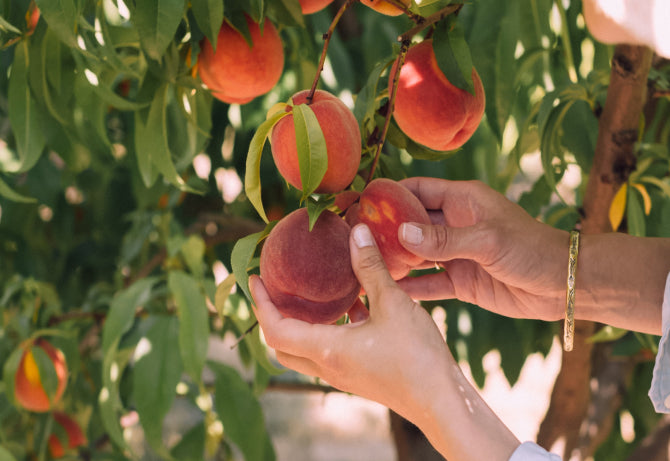 Peach Picking