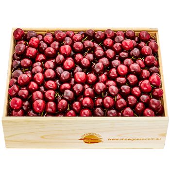 Cherry Large