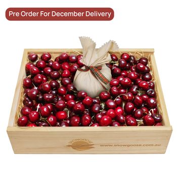 Christmas Cheer With Cherries