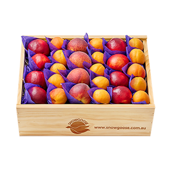 Stone Fruit