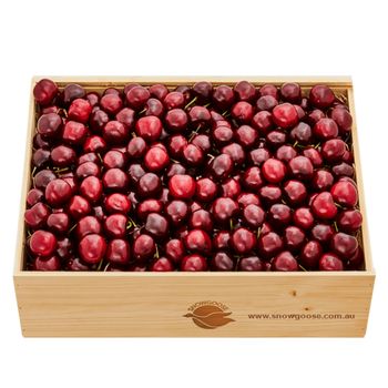 Cherry Large