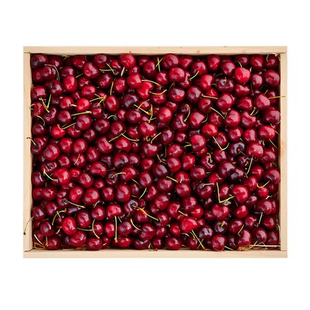 Cherry Large