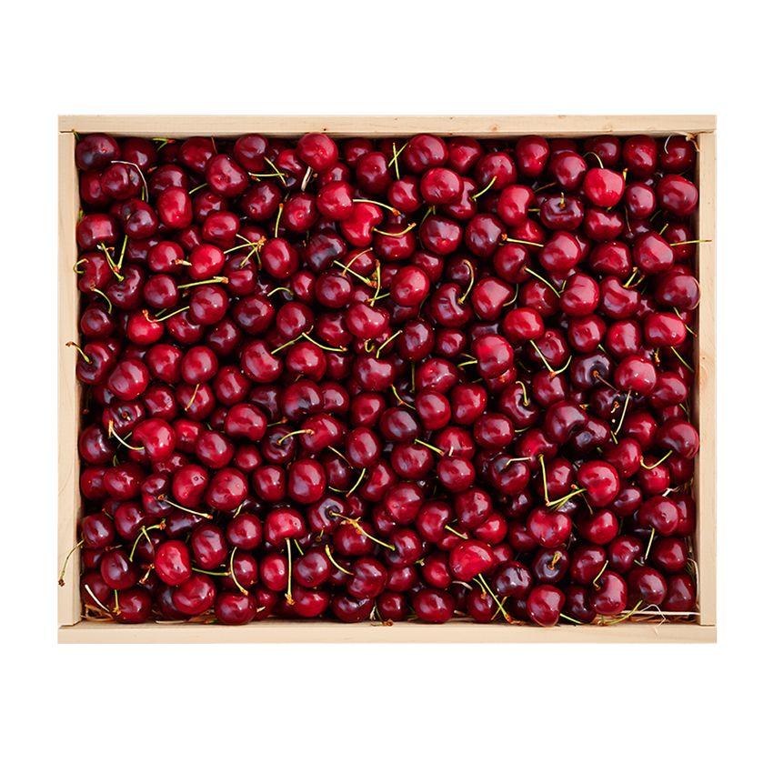 Cherry Large