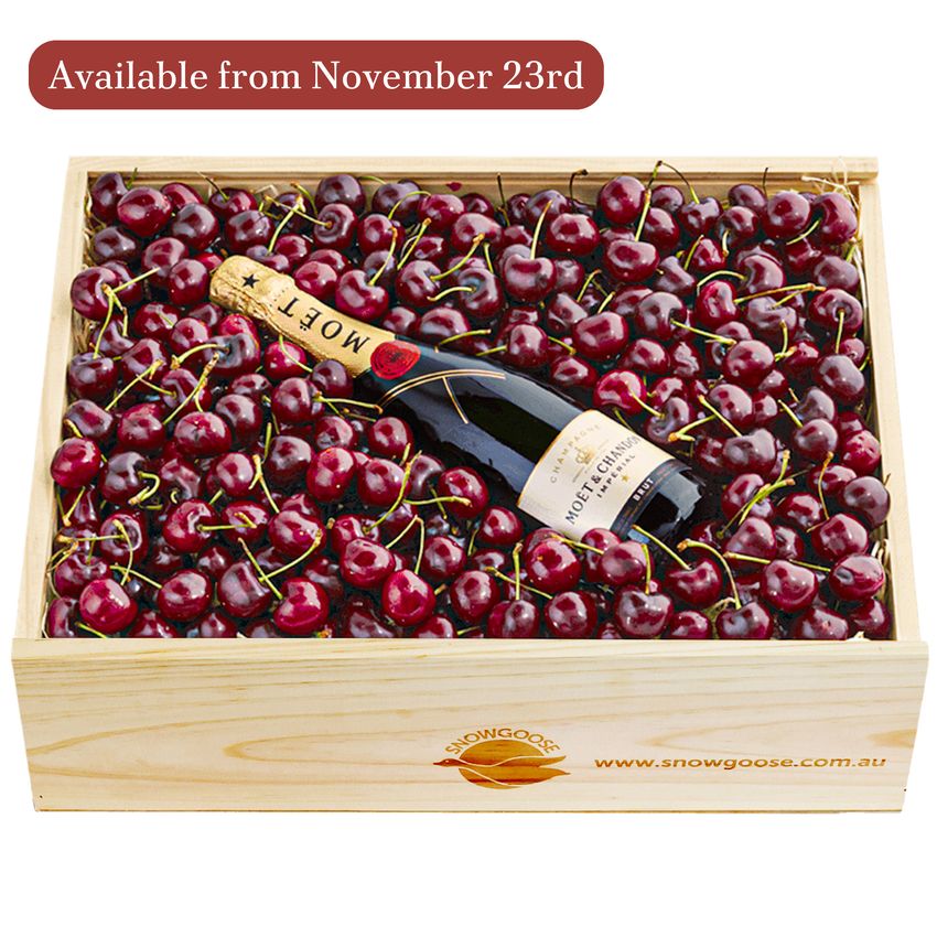 Cherry & Moet Large