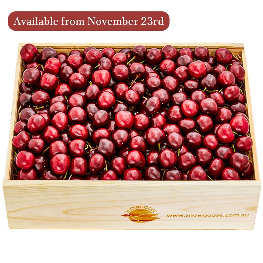 Cherry Large