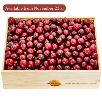 Cherry Large