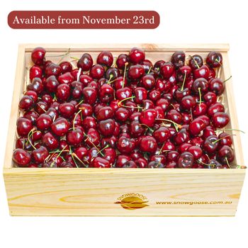 Cherry